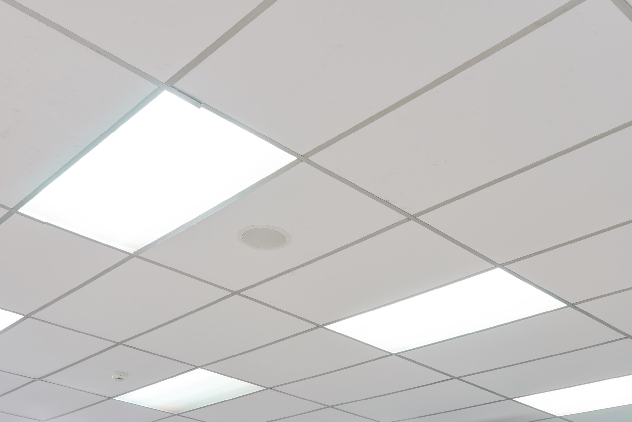 Multi-level ceiling with service zones